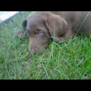 Meet your Posher, Madeline